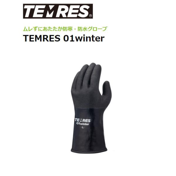 eX TEMRES ubN V[O[u XL[ Xm[{[h Xm[[r AEghA  h h ނ   Ⴉ TEMRES 01WINTER