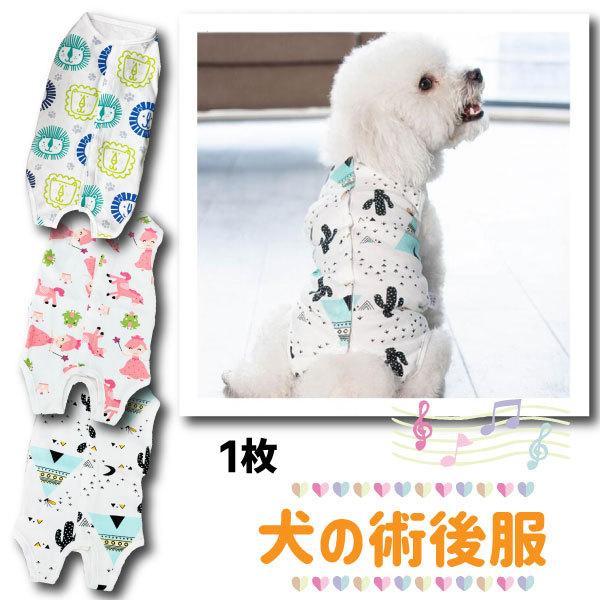 ̎p㕞 p㕞 p㕞 wJ 炩  ^ ^p Lp Ȃ rߖh~ pی D  B S M L XL `