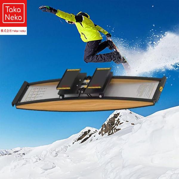 スキー マシン、屋内スキートレーニングシミュレーター、スキーポールとマット付き、150kgの負荷、筋力とバランスのトレーニングツールセット、ウエスト、腹部、脚のトレーニング、有酸素トレーニング用