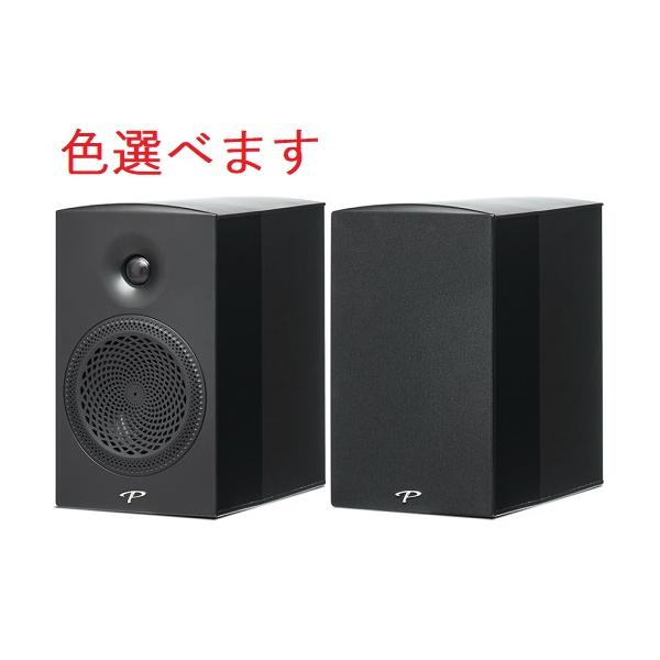 国内正規品 Paradigm パラダイム PREMIER 200B (ペア