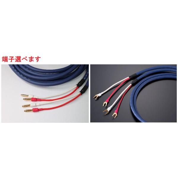 カズ　TIGLON MS-12SP-R2 スピーカーケーブル2本 TIGLON 新製品 TiGLON ティグロン MS-DR20SP-AD-2.5 スピーカー