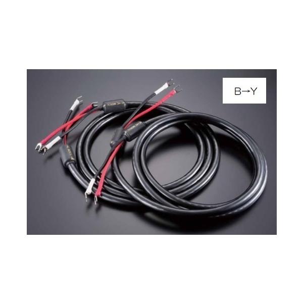 TIGLON 記念モデル TiGLON ティグロン MSS-DF100SP-HSE/2.5m/BY B→Y