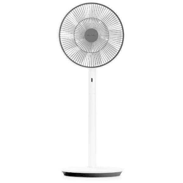 The GreenFan EGF-1700-WK バルミューダ BALMUDA リビング扇風機
