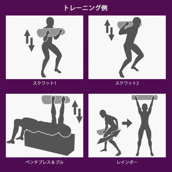 Goldaxe ウォーターバッグ 6l 体幹トレーニング 器具 水 筋トレ ダイエット エクササイズ 送料無 Xm414 Buyee Buyee 日本の通販商品 オークションの代理入札 代理購入