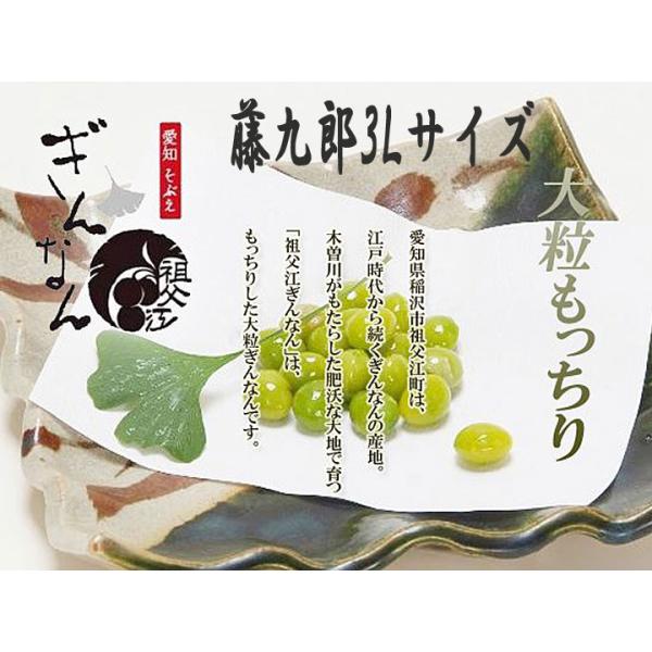 2025年新物 藤九郎 銀杏 祖父江産 3L 3kg 2025年度《日本国内産》お歳暮/プレゼント 江戸時代から続く銀杏