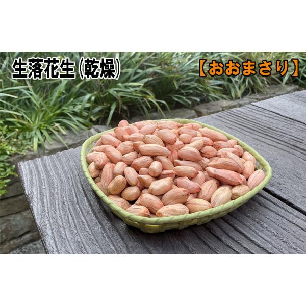 落花生「おおまさり」は、千葉県で開発された品種で、一般的な落花生の約2倍の大きさがあり、柔らかく濃厚な甘みが特徴です。主に「ゆで落花生」として食されその美味しさから全国的に人気があります。＜ピーナツは、栄養満点の食べ物です！＞・体を作る三大...