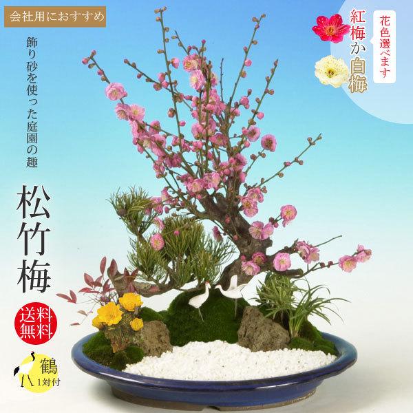 迎春:松竹梅(楕円浅鉢)*鶴付き 花色選べる(2025年早春開花予定 迎春:松竹梅(楕円浅鉢)*鶴付き 花色選べる(2025年早春開花予定