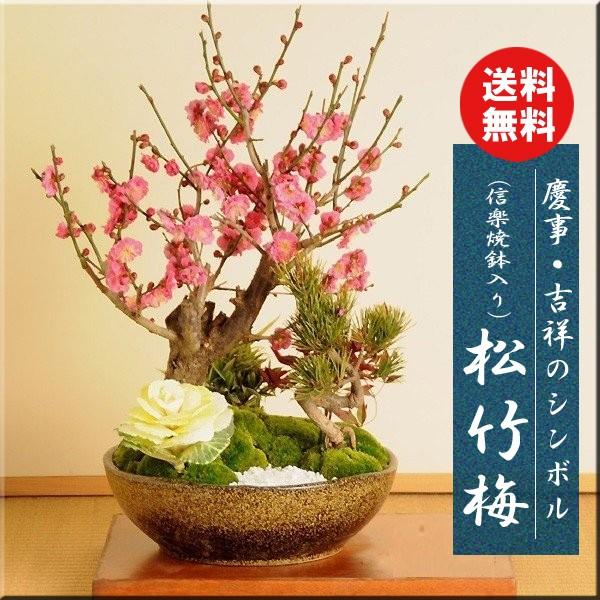 松竹梅 盆栽の人気商品 通販 価格比較 価格 Com