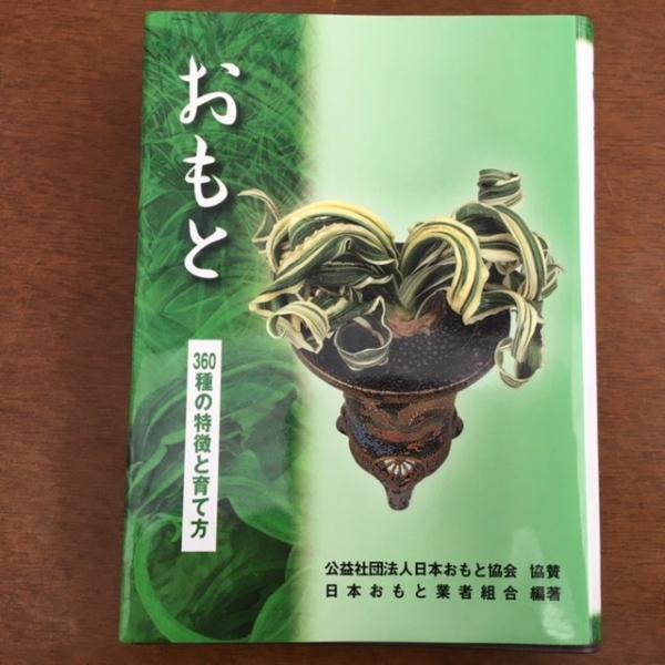 本 おもと 360種の特徴と育て方 遊恵盆栽 Yahoo 店 通販 Yahoo ショッピング