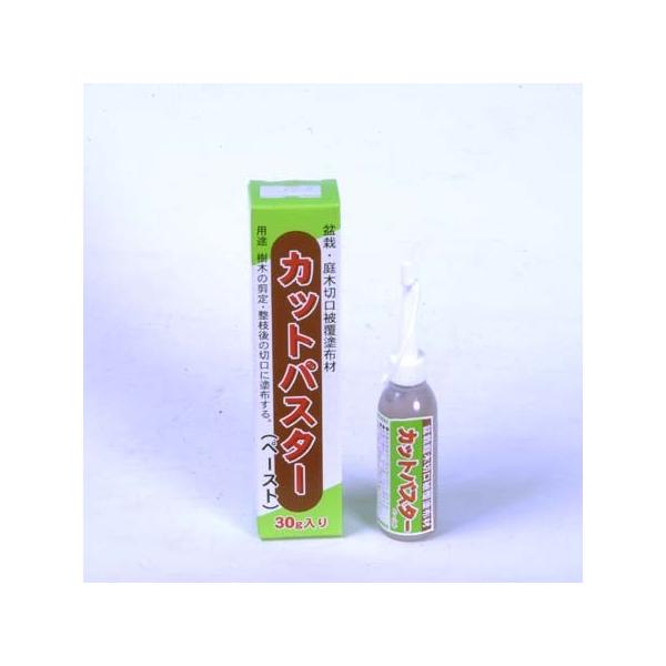 ܁FJbgpX^[y[Xg()@30*