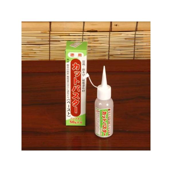 ܁FJbgpX^[y[Xg()@50*