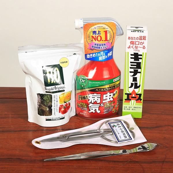 盆栽道具：初心者用盆栽デビューセット*セット割はじめて盆栽入門趣味