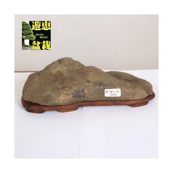 水石：宇治川石 現品*資材 うじがわ : 遊恵盆栽 Yahoo!店 - 通販