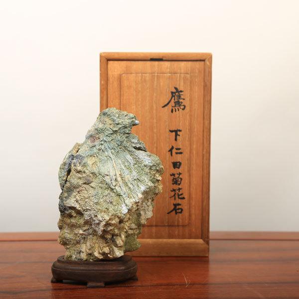 水石：下仁田菊化石「鷹」【現品】*資材 : 遊恵盆栽 Yahoo!店 - 通販