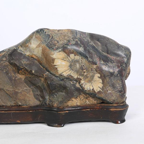 水石：菊花石銘「赤菊彩香」 現品*資材キッカセキ| JChere日本Yahoo