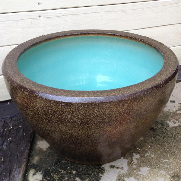 珍しいデザイン　果物水蓮鉢になります。 Leaf Corp 睡蓮鉢 睡蓮鉢（メダカ鉢） 凛 RIN 丸型