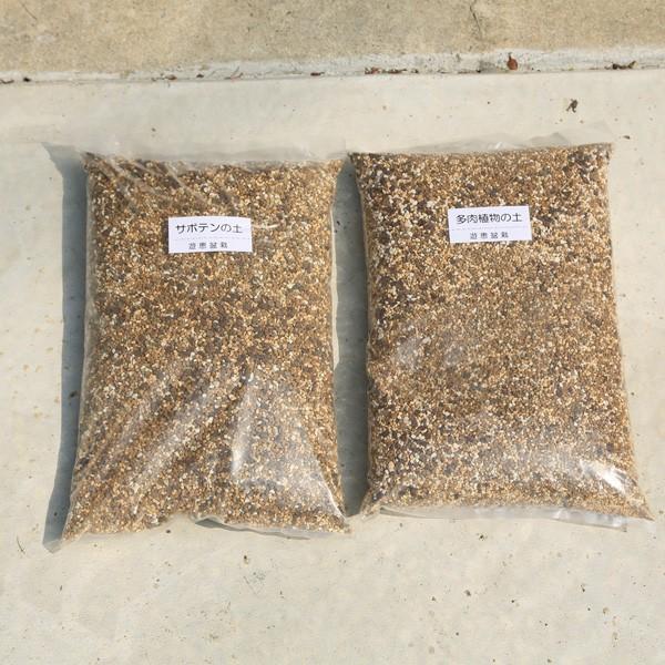 サボテン 多肉植物の用土10l Buyee Buyee 提供一站式最全面最專業現地yahoo Japan拍賣代bid代拍代購服務bot Online