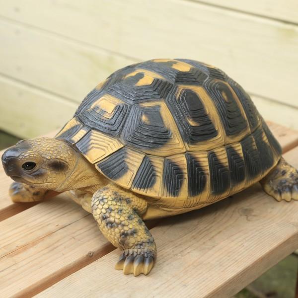 置物・フィギュア：ギリシャリクガメ*ほしがめ・ホシガメ(w437) : 遊恵