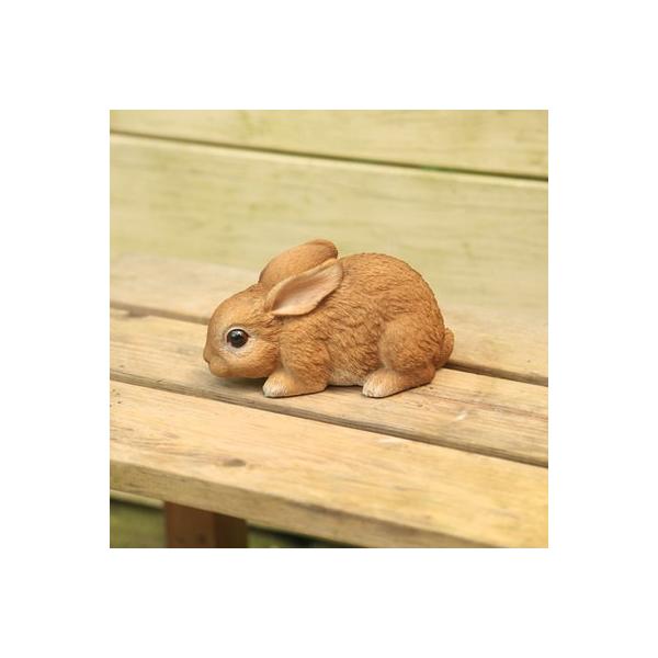 G݁@uEtBMAFxCr[rbg|[Y*w-416