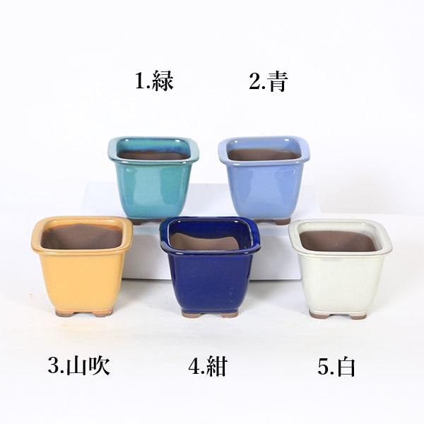 商品説明鉢：国産正方鉢　10ｃｍ（2146）*資材鉢径：10cm　高さ：7.8cm日本製鉢　色物鉢※こちらは数量物となっております。※ご希望の色をお選び下さい。＊数量物の為、若干の色の違い(色むら)があります。