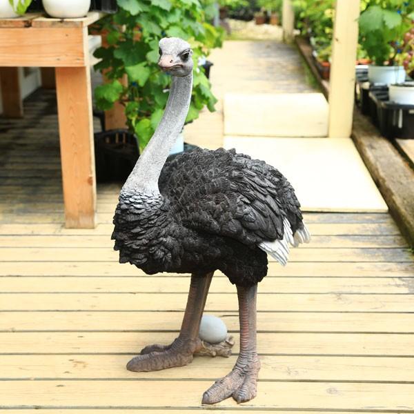 雑貨 置物・フィギュア：ダチョウ*w-461 : 遊恵盆栽 Yahoo!店 - 通販