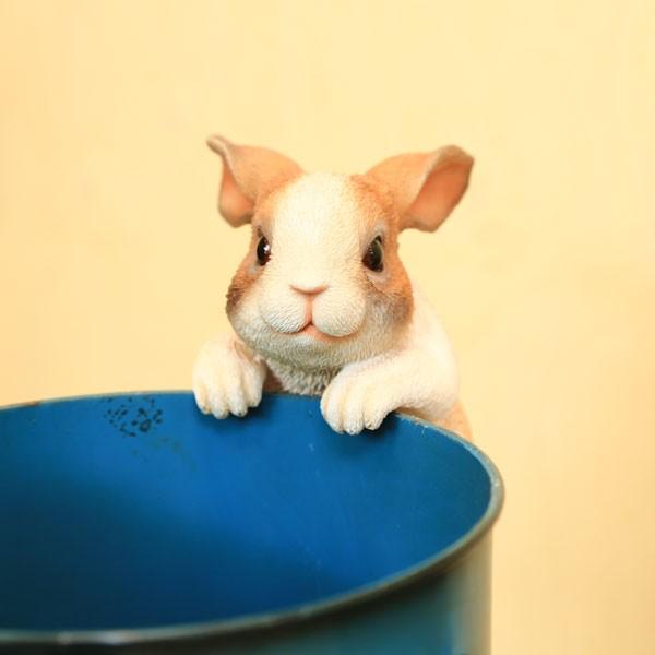 G݁@uEtBMAFrbgnMO*w-474