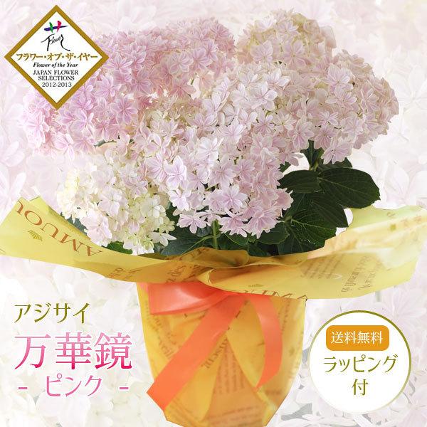 あじさい 万華鏡の通販 価格比較 価格 Com