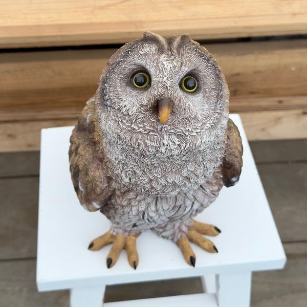 雑貨 置物 フィギュア：オウル*Owl フクロウ ふくろう フィギア H29