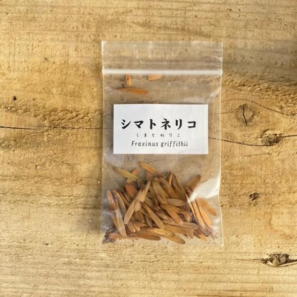 産地：大阪府今年度採取できたものを当店で詰めたもので、袋は透明のビニール袋です。 *蒔き方などの注意事項を記載した説明書をおつけします。蒔き時　3-5月約8ｍｌ　約70粒配送追跡可能メール便での発送の場合、配達ご希望日時がご指定できません。...