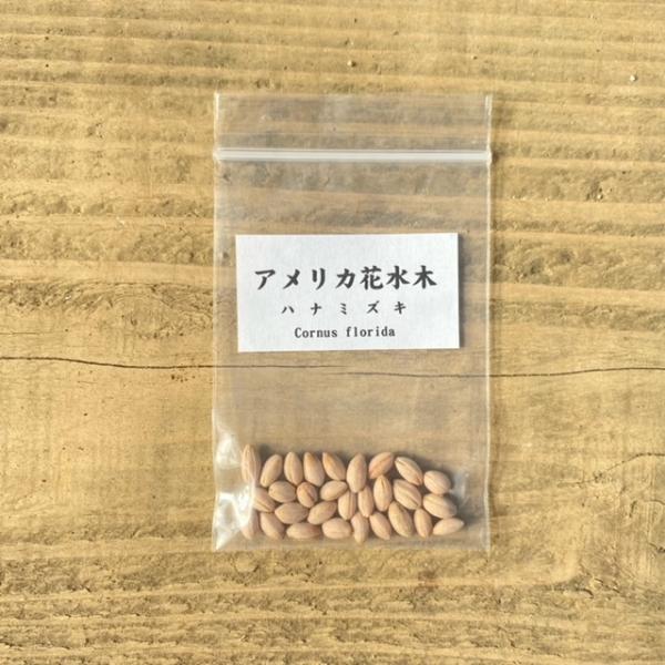 木 種の人気商品 通販 価格比較 価格 Com