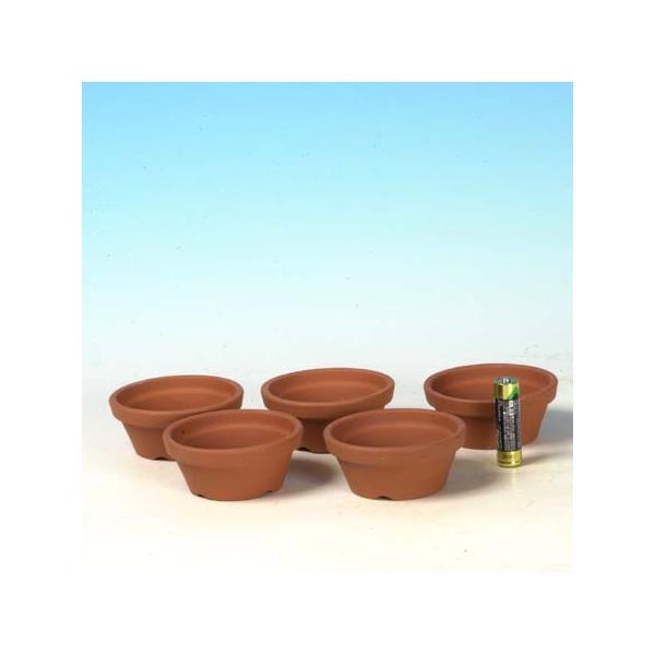 FYfĂ@鉷@2.5@TZbg*@