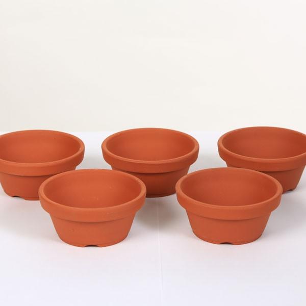 鉢：国産素焼き 朱温 浅鉢 3号5個セット* 資材 : 遊恵盆栽 Yahoo!店