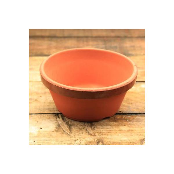 鉢：素焼き鉢 駄温 12号浅* 資材 : 遊恵盆栽 Yahoo!店 - 通販 - Yahoo