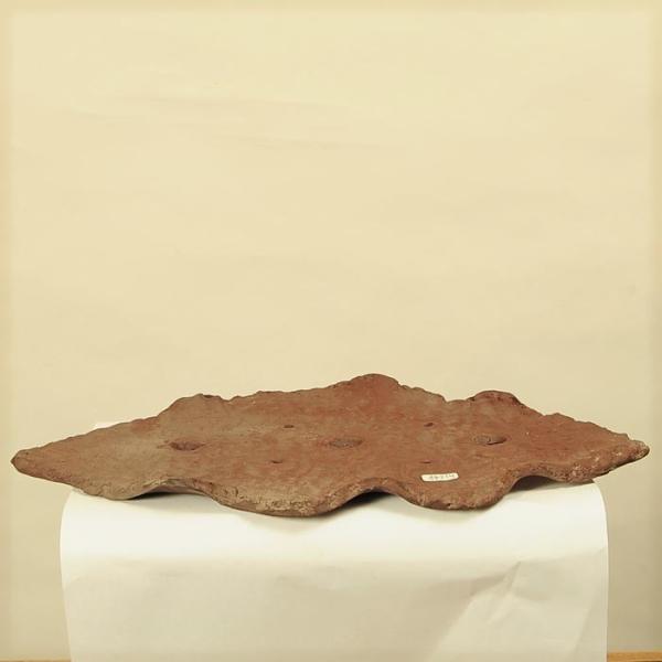 日本製　　鉢径：約37.5cm　奥行：約19ｃｍ　高さ：約2.0cm＊数量物の為、多少大きさ・形状が異なることもあります。