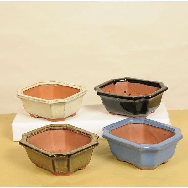 鉢：中国小鉢* J-63 資材 : 遊恵盆栽 Yahoo!店 - 通販 - Yahoo