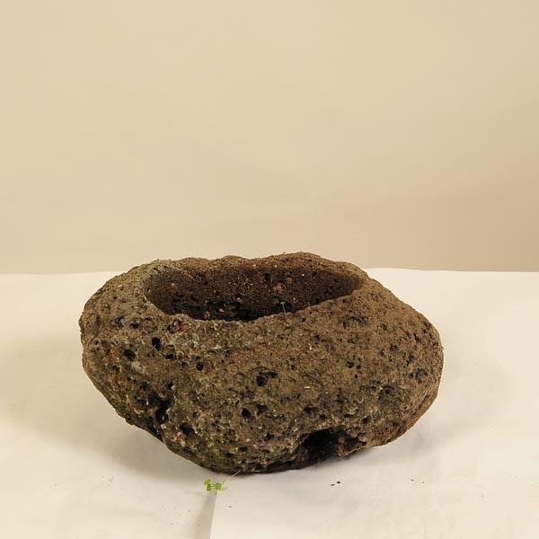 FFY y΂l*13-15@܁@邢@Tc}@JCV*@