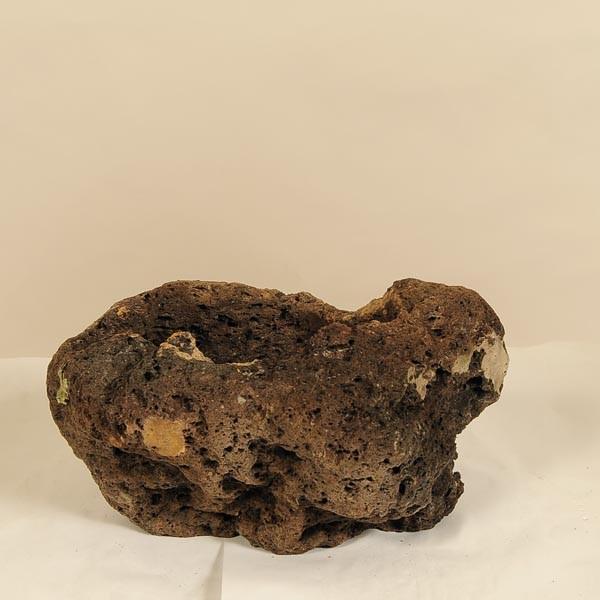 FFY y΂k*16-21@܁@邢@Tc}@JCV@