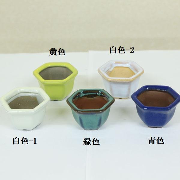 陶器 六角形 植木鉢　中国 盆栽鉢 紫泥外縁額面六角鉢 6号 17.5cm 朱泥 植木鉢 中国鉢 泥鉢 陶器