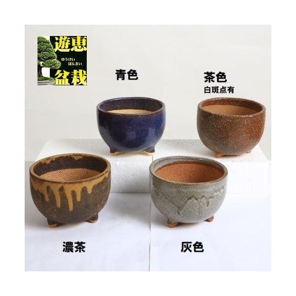 FMyď(۔)@4@12cm@ݎR*@