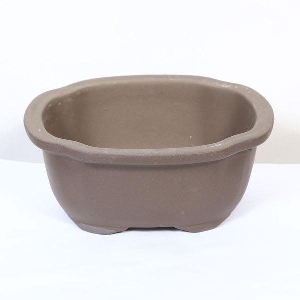鉢：国産土物モッコ鉢 6号 20cm* 資材 : 遊恵盆栽 Yahoo!店 - 通販