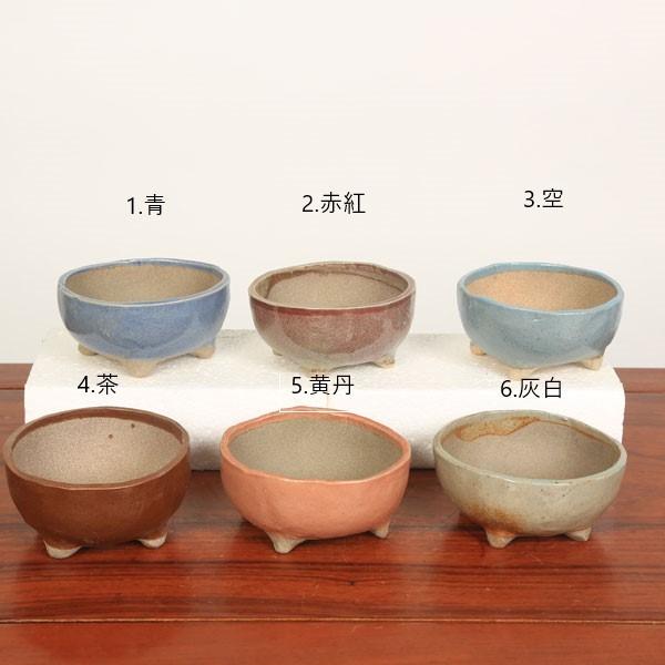 祥石　丸　盆栽鉢 祥石 盆栽鉢 盆栽鉢 初代祥石 染付丸鉢 : はニわ