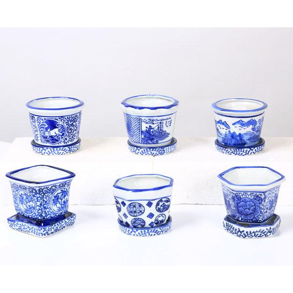 た*ま様 中国絵付き長方鉢 鉢：中国染付小鉢6点セットD(受皿付) 7.4−8cm* 資材 : 遊恵盆栽