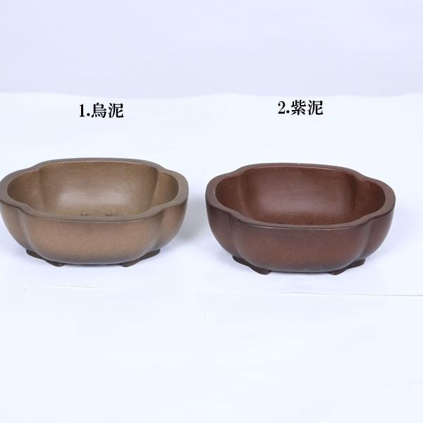 鉢：中国小鉢 モッコ鉢 12.1cm*資材 : 遊恵盆栽 Yahoo!店 - 通販