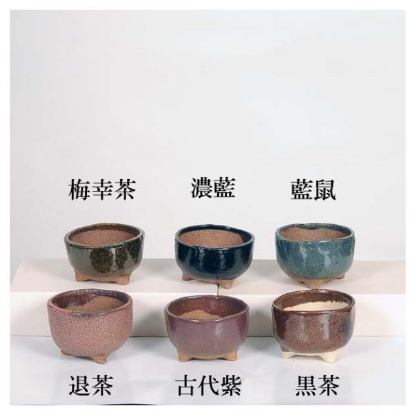 香祥　盆栽鉢 現代小鉢：祥石(二代目)ゆうき*小 丸鉢 2.5号 : 遊恵盆栽 Yahoo!店