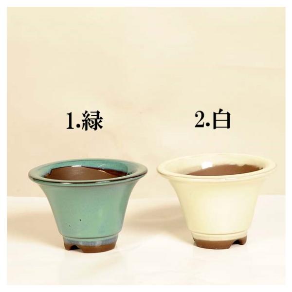 盆栽鉢：国産丸平ソリ鉢 4号*資材 : 遊恵盆栽 Yahoo!店 - 通販