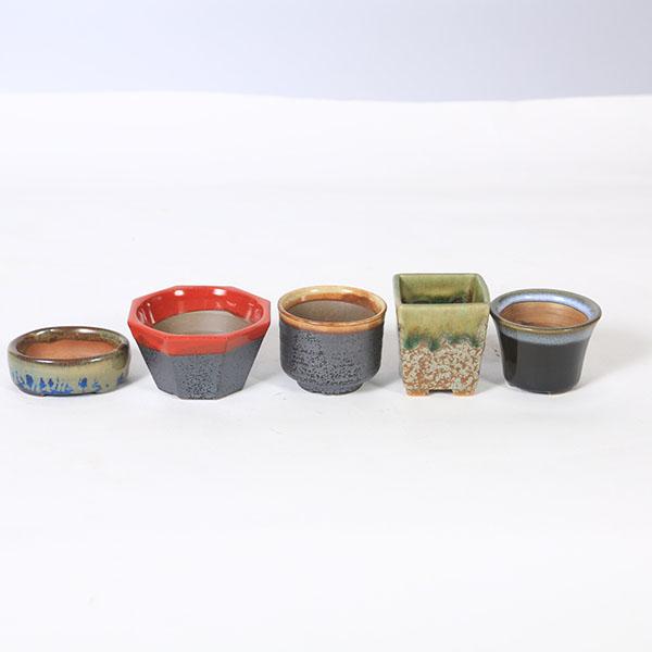 鉢：瀬戸焼豆ミニ鉢5点セット 2.5号 : 遊恵盆栽 Yahoo!店 - 通販