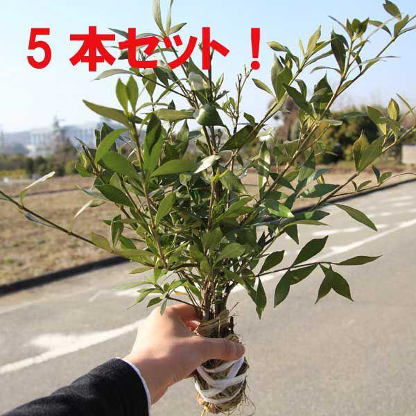 ؁FqN`iV*RN`iV@Pq@ȂT{Zbg