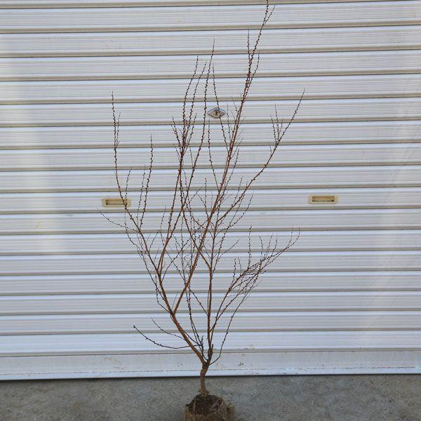 ؁FsNLiM*itWmsL[j@@F70