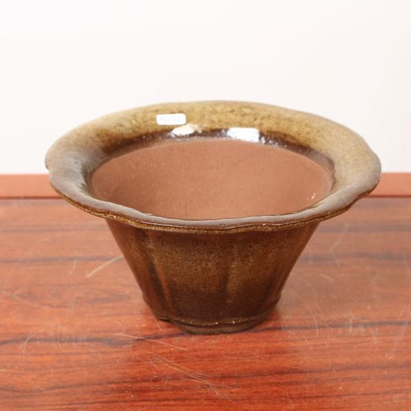 盆栽小鉢：秀峰 花形エン付高台鉢 21.9cm *現品もの 資材 : 遊恵盆栽