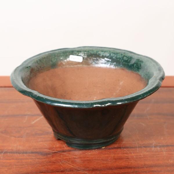 盆栽小鉢：秀峰 花形深鉢 21.8cm *現品もの 資材 : 遊恵盆栽 Yahoo!店